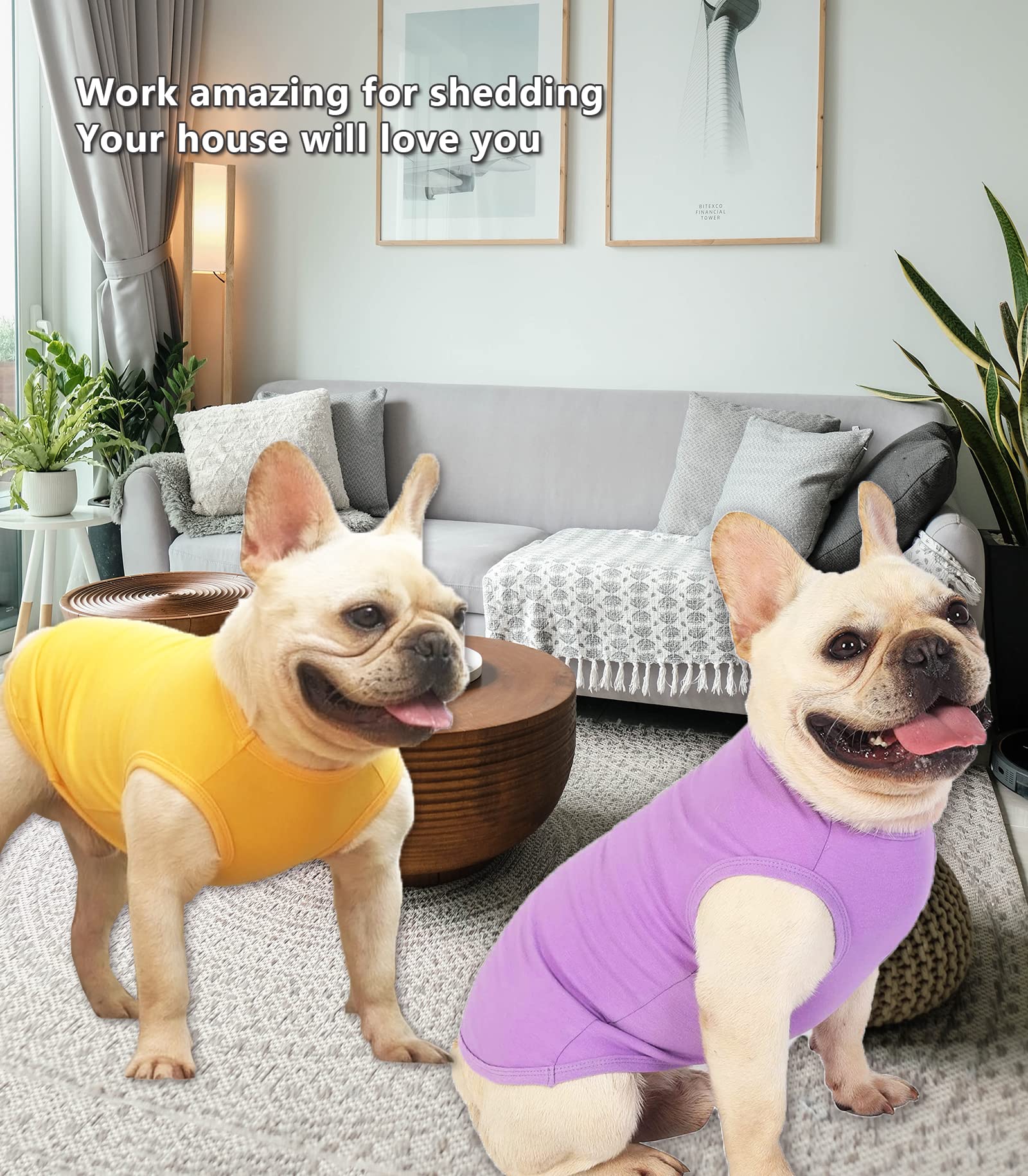 SyChien camiseta para perros algodón mediana amarilla, vista lateral, ajuste cómodo para paseos cortos.