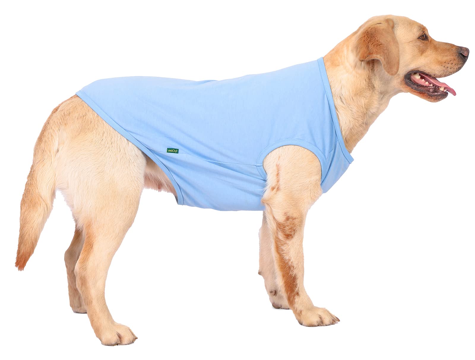 SyChien camiseta azul XXS, regalo ideal para cumpleaños o fiestas de mascotas