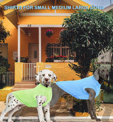 Camiseta SyChien en azul y verde, estilo ligero y fresco.