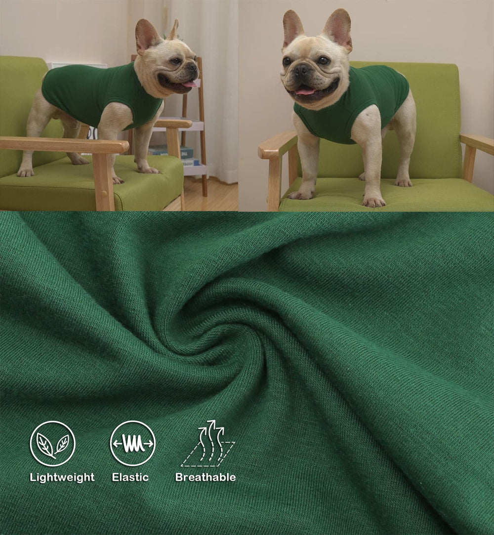 SyChien ropa para perros con piel delicada, protege y cubre zonas sensibles.