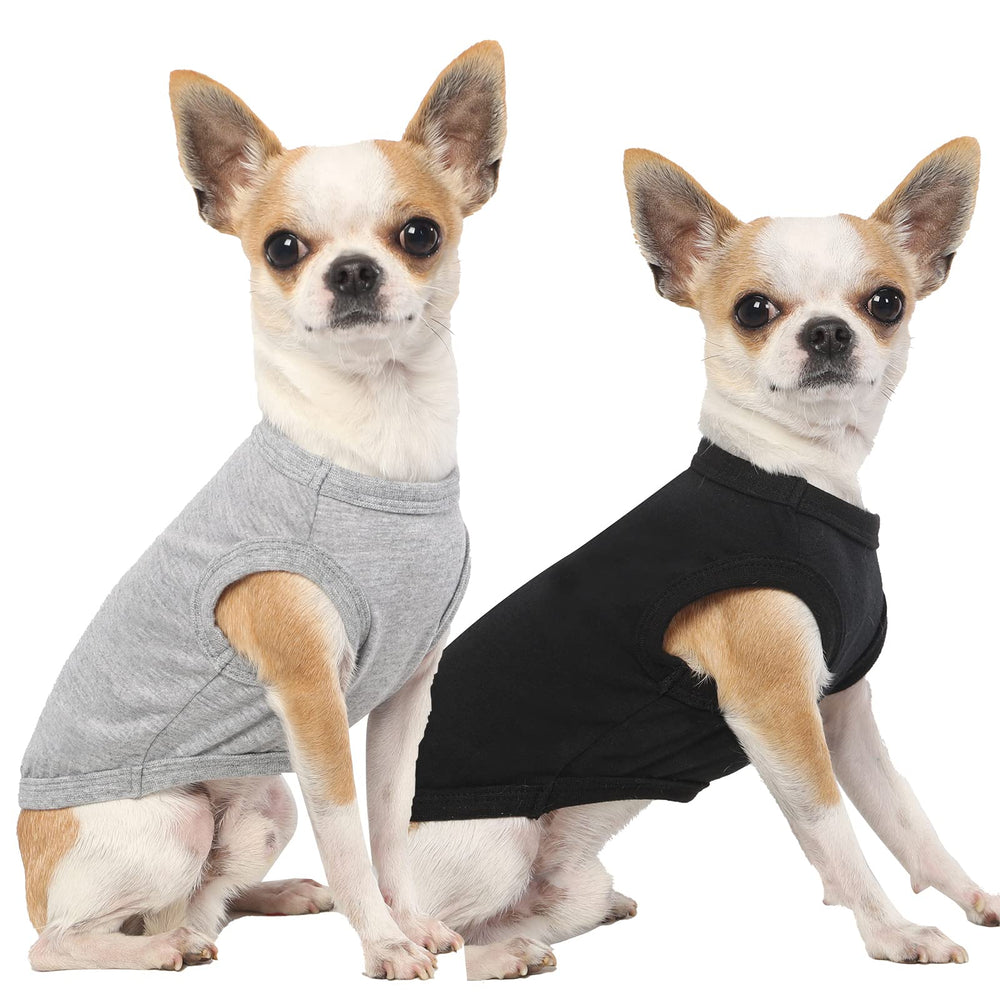 Camiseta SyChien para perros, vista frontal, paseos diarios.
