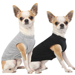 Camiseta SyChien para perros, vista frontal, paseos diarios.