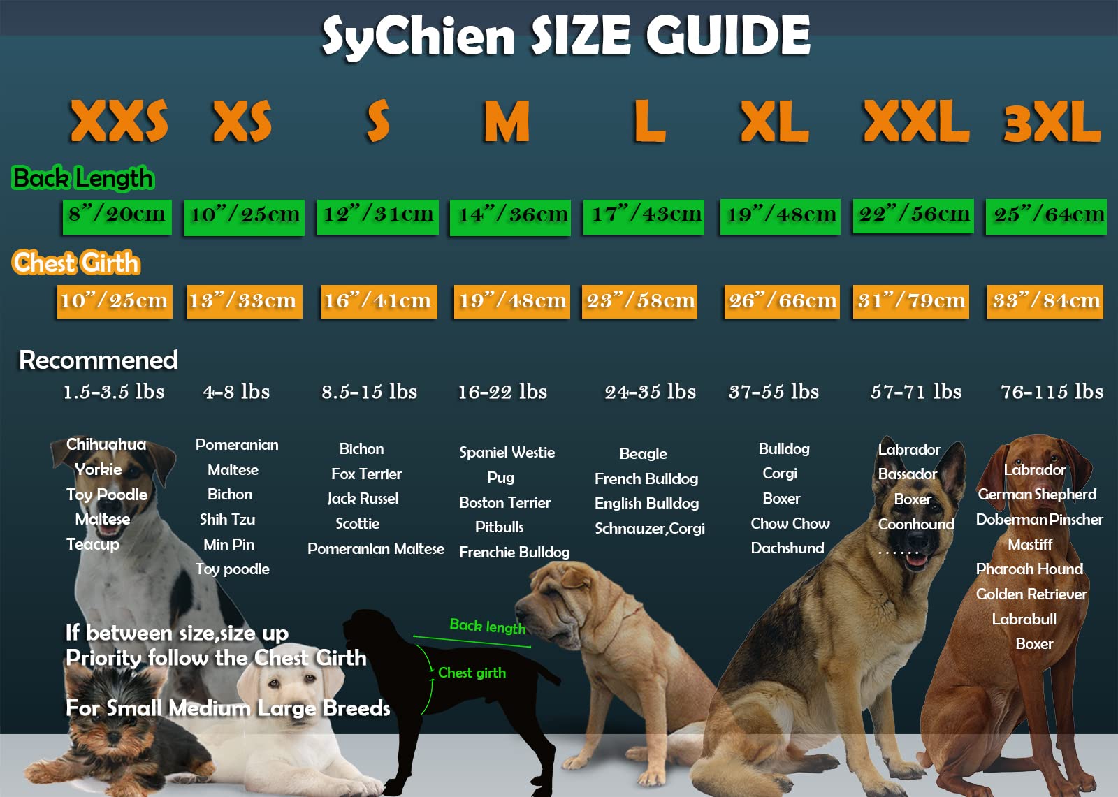 SyChien Camiseta para perros grande, uso en verano al aire libre.