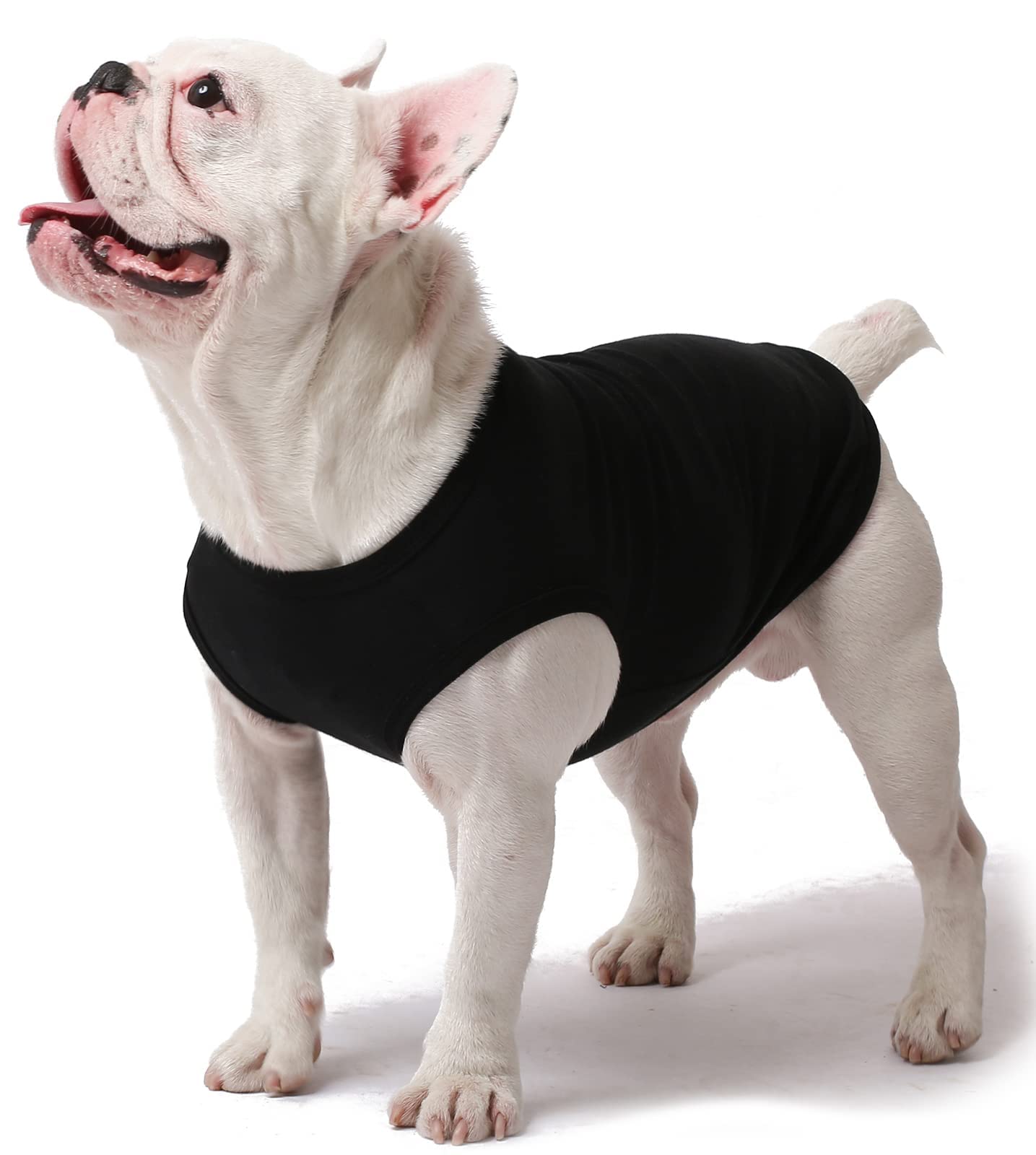 Camiseta SyChien para paseos diarios, tejido transpirable y estable.