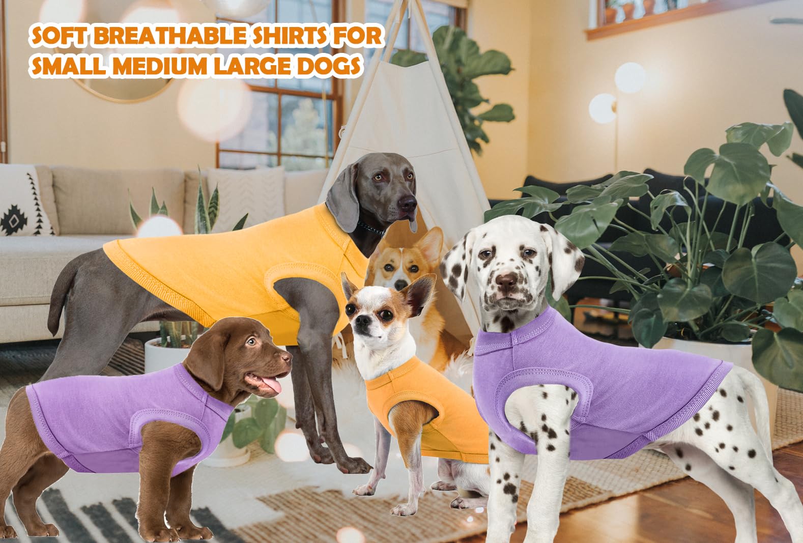 SyChien camiseta perro XXL espalda, tela transpirable para uso diario