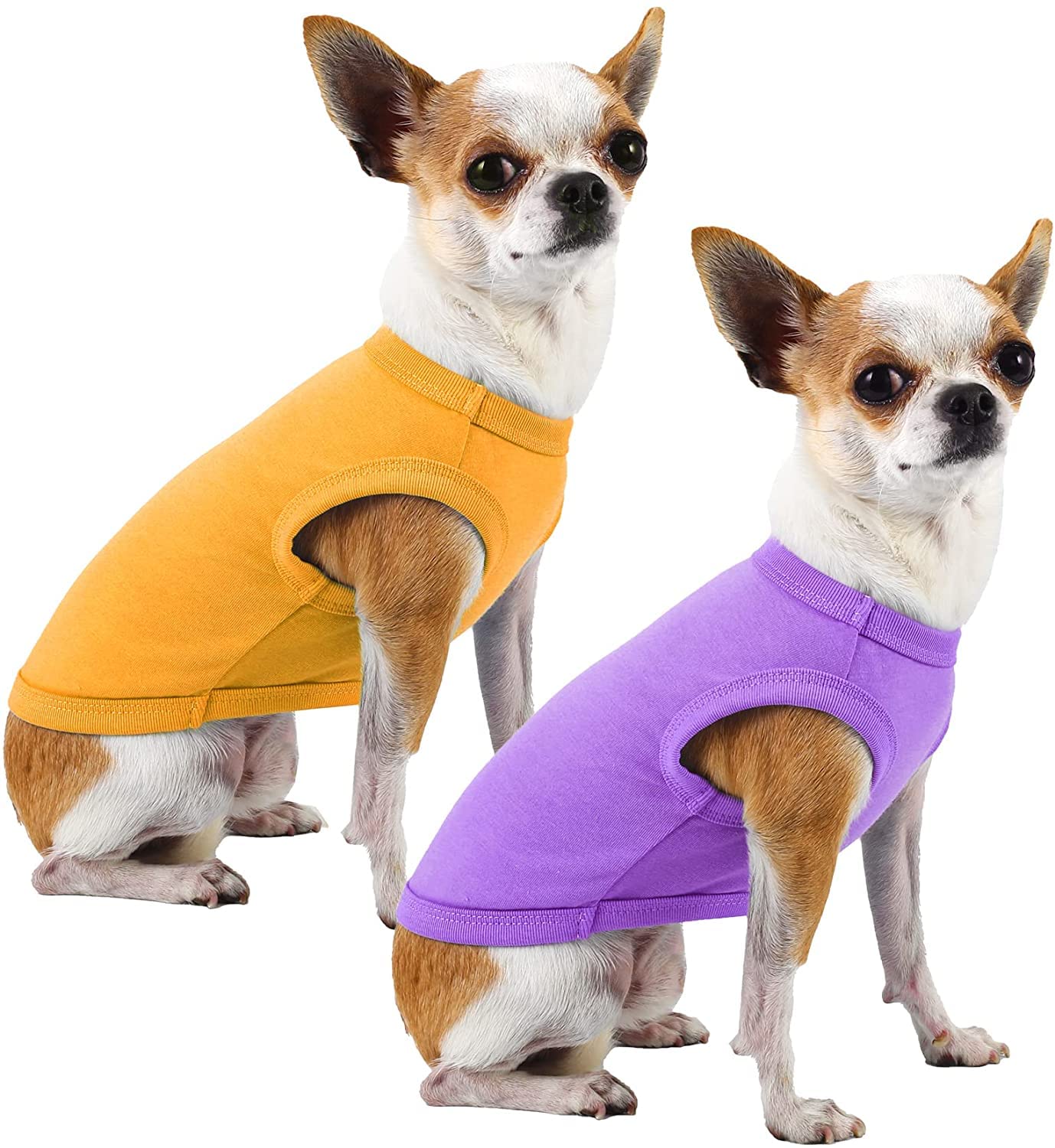 Camiseta SyChien XXXL en amarillo y morado: alta visibilidad para paseos.