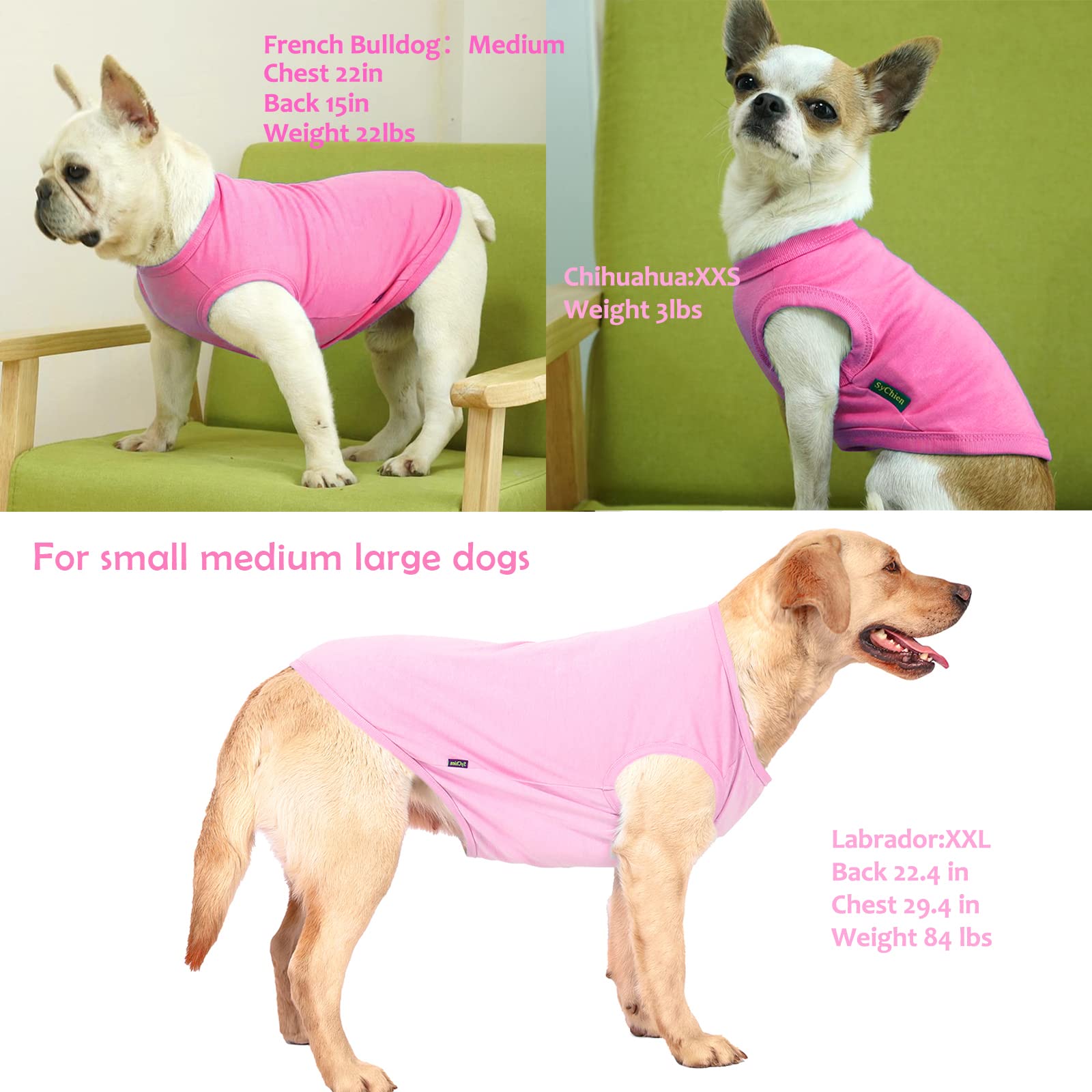 Protege del sol durante el paseo con la camiseta rosa SyChien para perro pequeño.