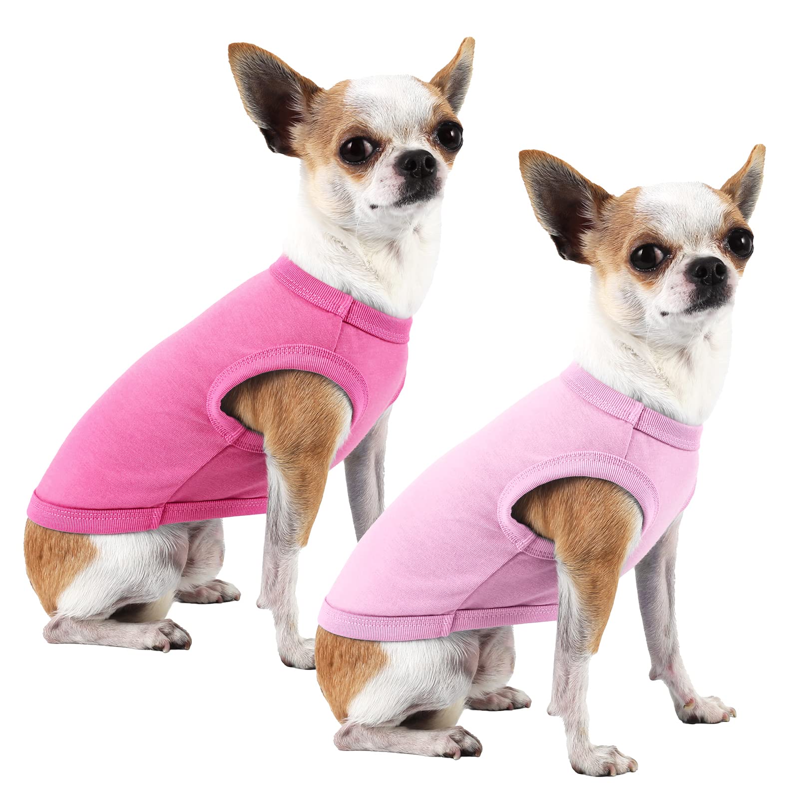 Variedad de tallas para adaptar la camiseta rosa SyChien a cada perro.