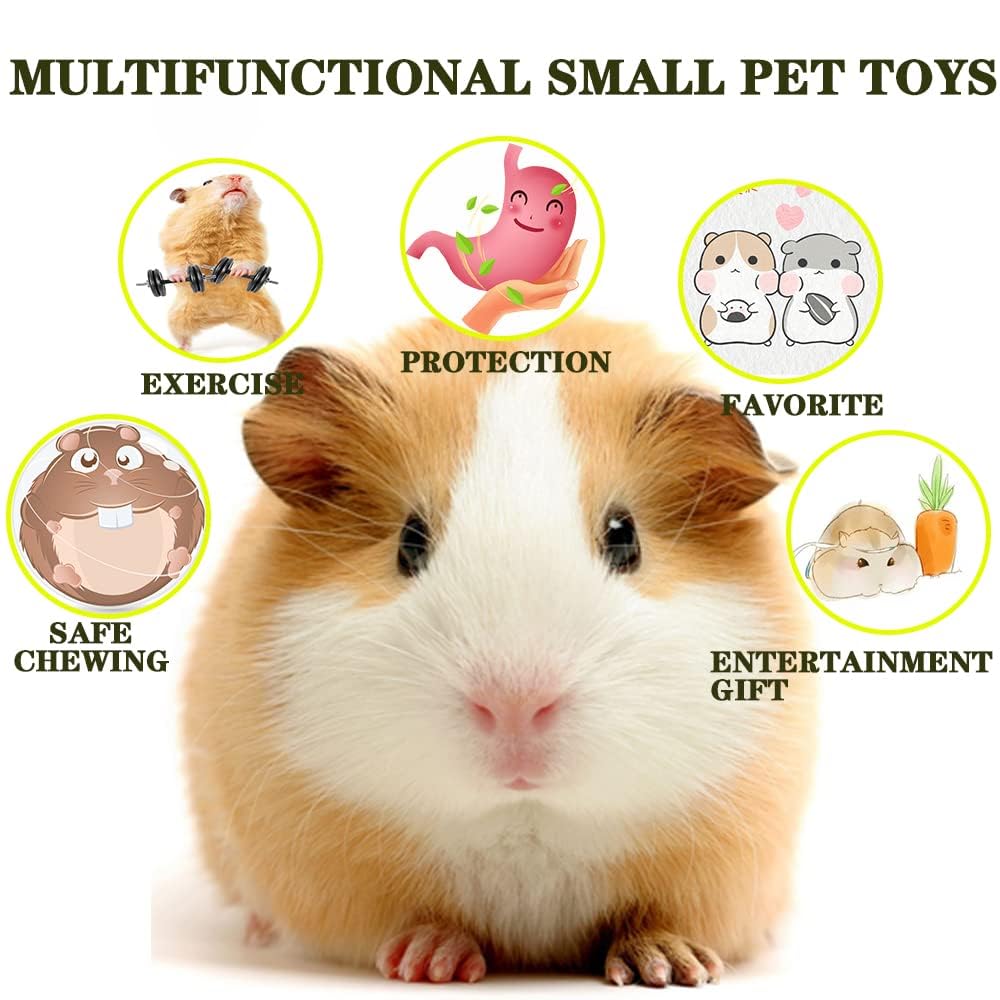 Syhemtya columpio hamster, añade diversión vertical para entretenimiento diario.