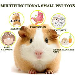 Syhemtya columpio hamster, añade diversión vertical para entretenimiento diario.