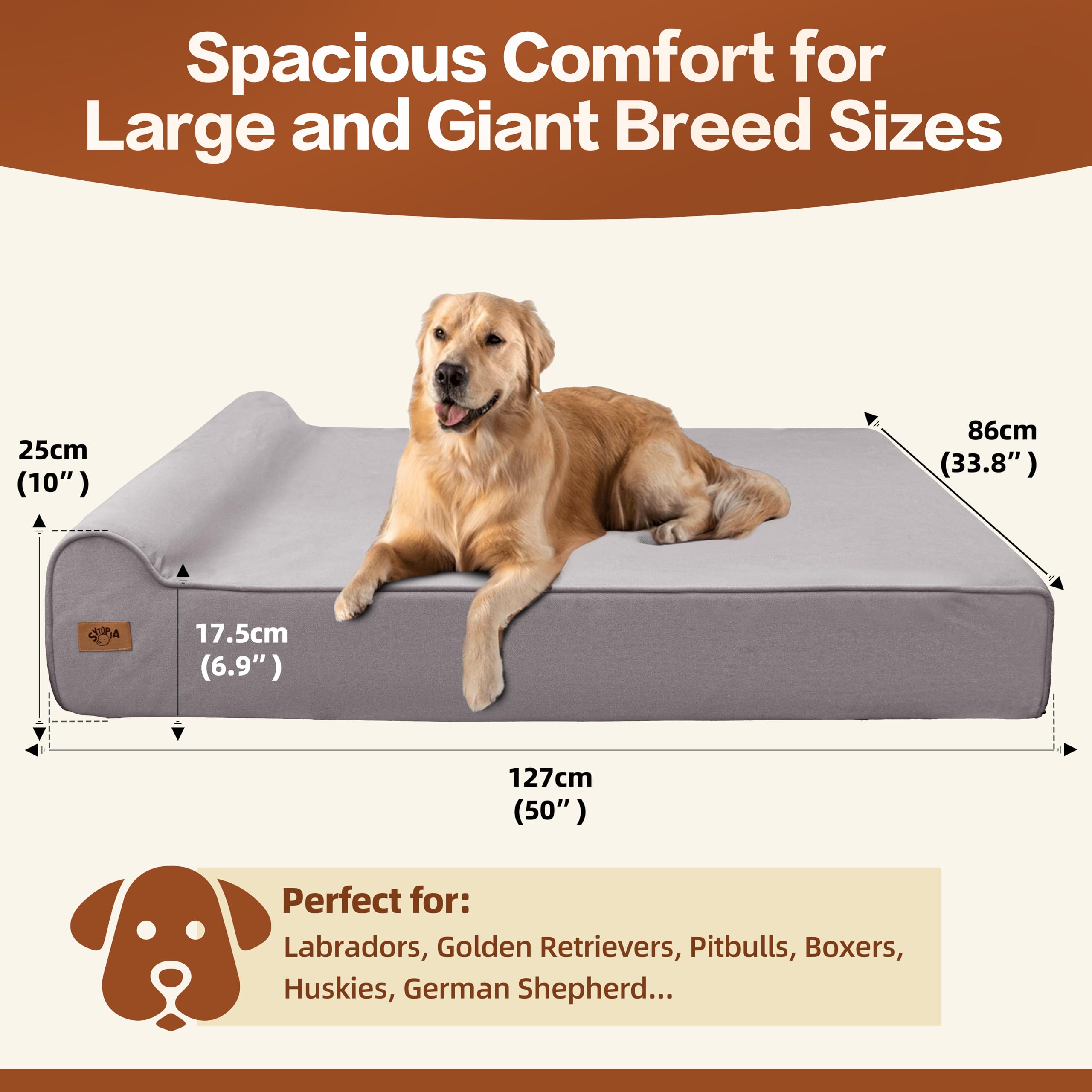 Sytopia cama ortopédica de 7 pulgadas brinda confort para perros senior.
