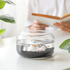 Grava negra pequeñas de T4U para acuario o decoración