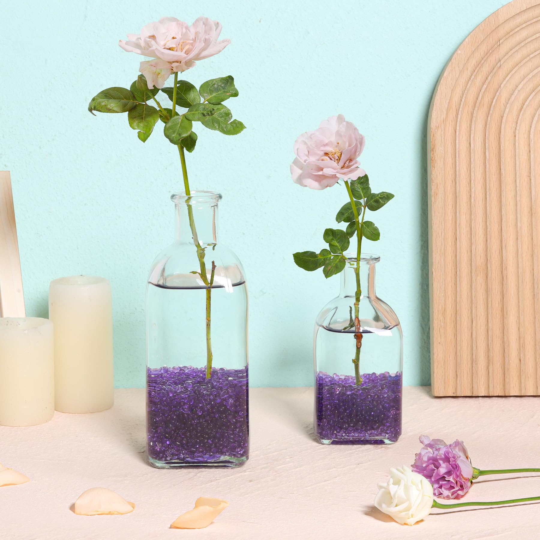 Guijarros decorativos T4U para terrarios: paisaje miniatura cautivador.
