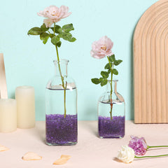 Guijarros decorativos T4U para terrarios: paisaje miniatura cautivador.