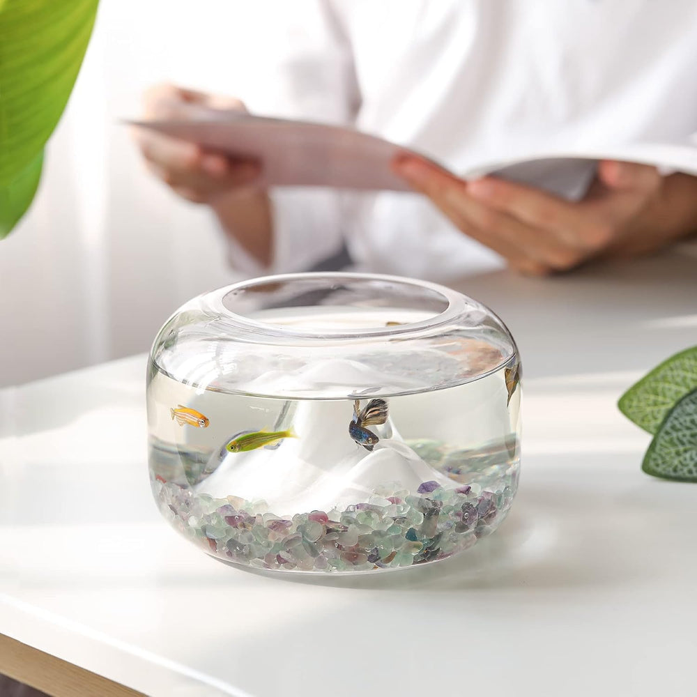 Grava de cristal T4U para plantas de interior y terrarios
