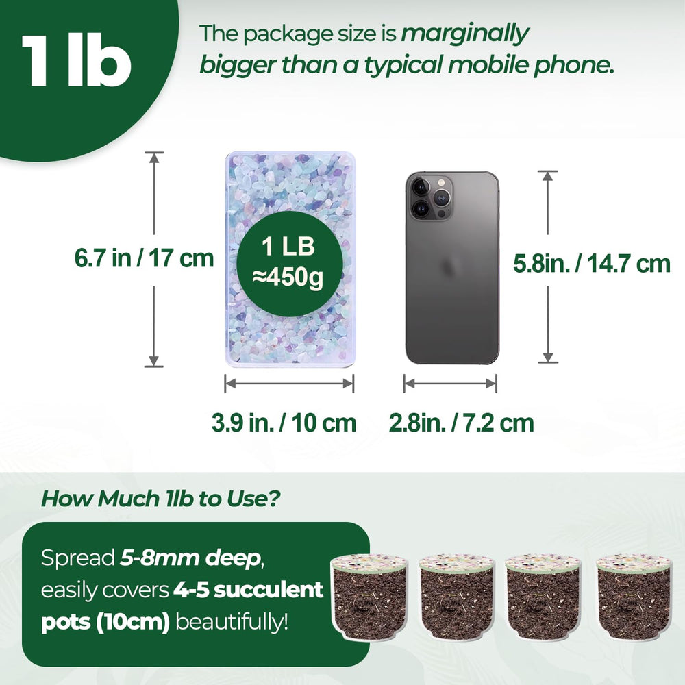 T4U piedras para plantas suculentas mejora drenaje y estética en macetas.