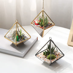 T4U Piedras pulidas cornalina para jarrones y vasos decorativos