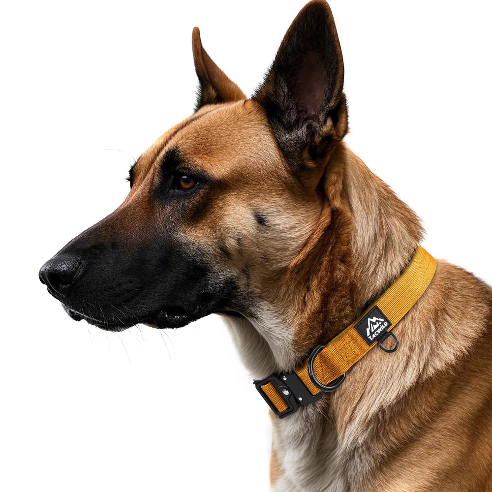 Tacwild collar con ajuste ergonómico y nylón 1000D para un ajuste cómodo