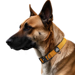 Tacwild collar con ajuste ergonómico y nylón 1000D para un ajuste cómodo