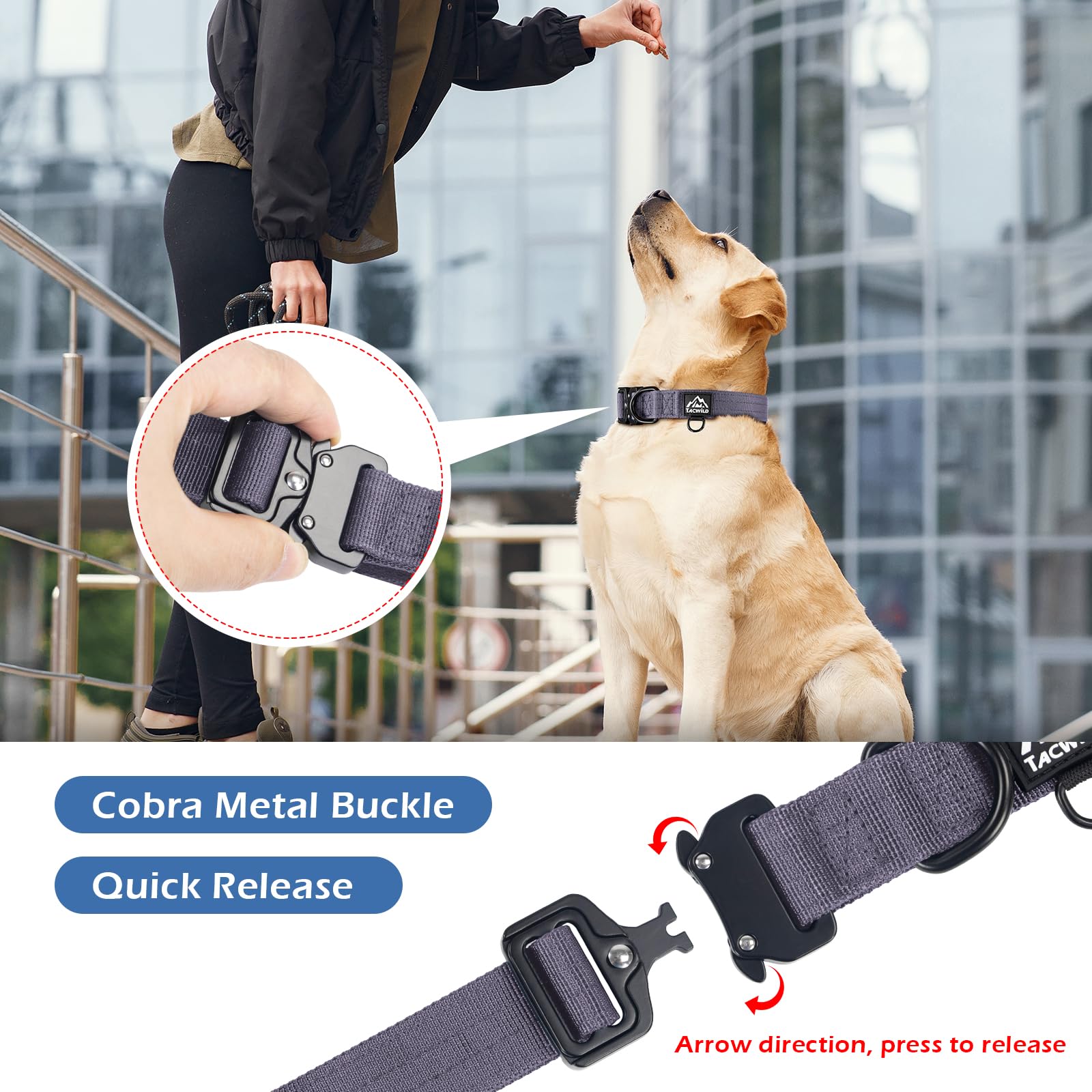 Tacwild collar con anillo D para sujetar la correa con seguridad.