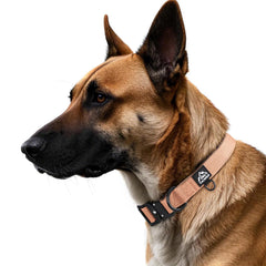 Tacwild collar con cierre rápido de metal para facilidad