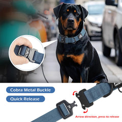 Tacwild collar nylon 1000D ofrece resistencia para perros grandes durante paseos intensos