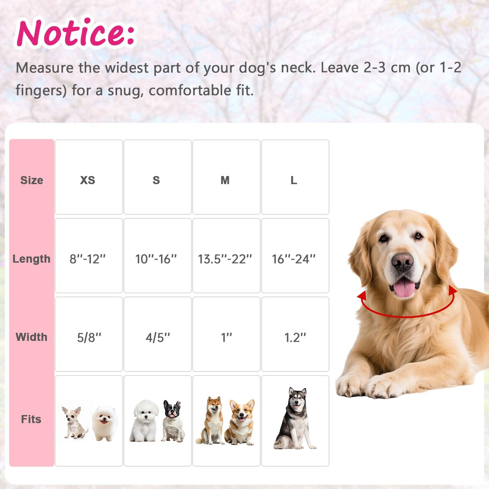Tag4oikia collar ajustable rosa para perro, confort y ajuste perfecto.
