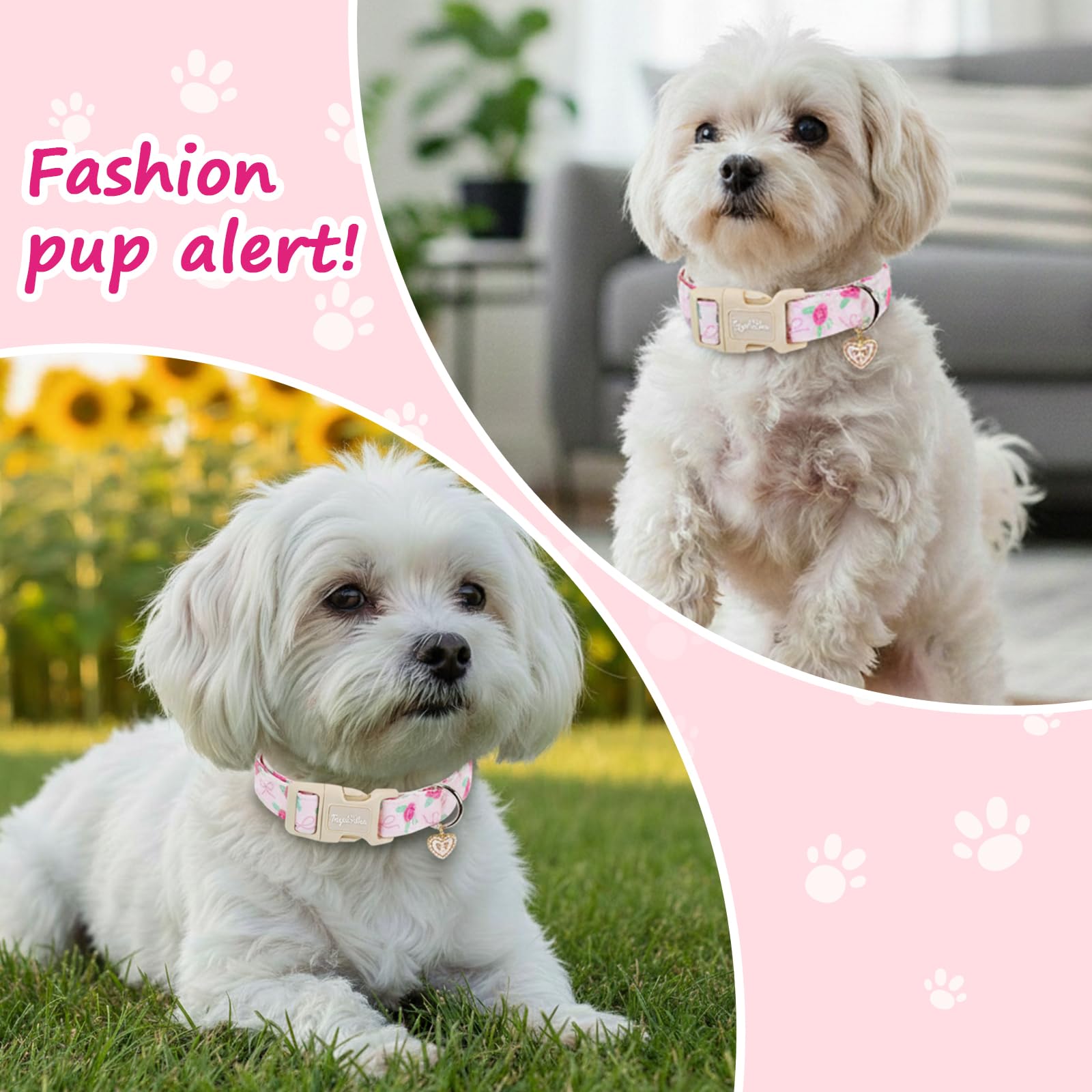 Tag4oikia collar con diseño de rosas para salidas diarias del perro.