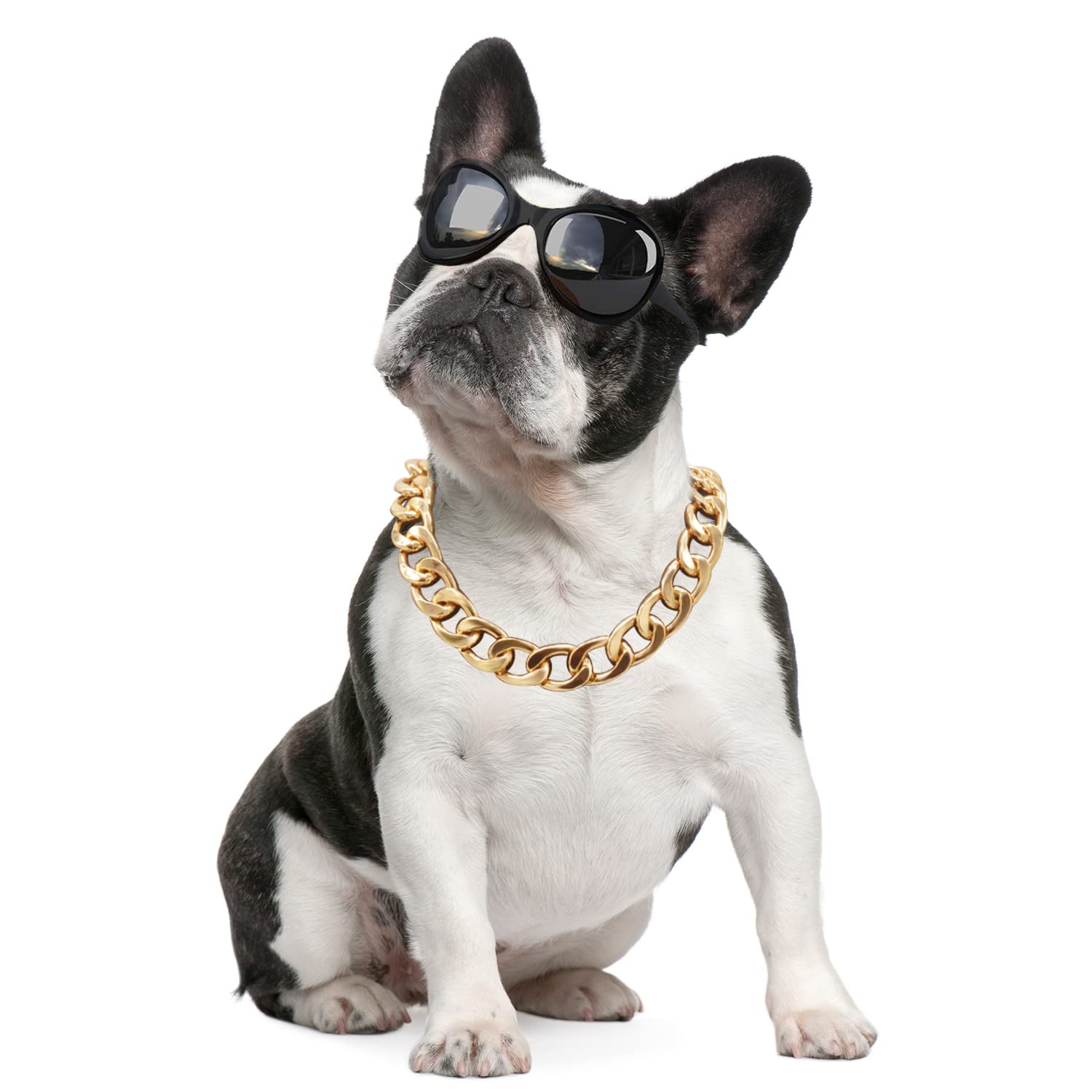 Collar Tagbilang dorado 18K, 20 mm, ideal para perros de talla media.