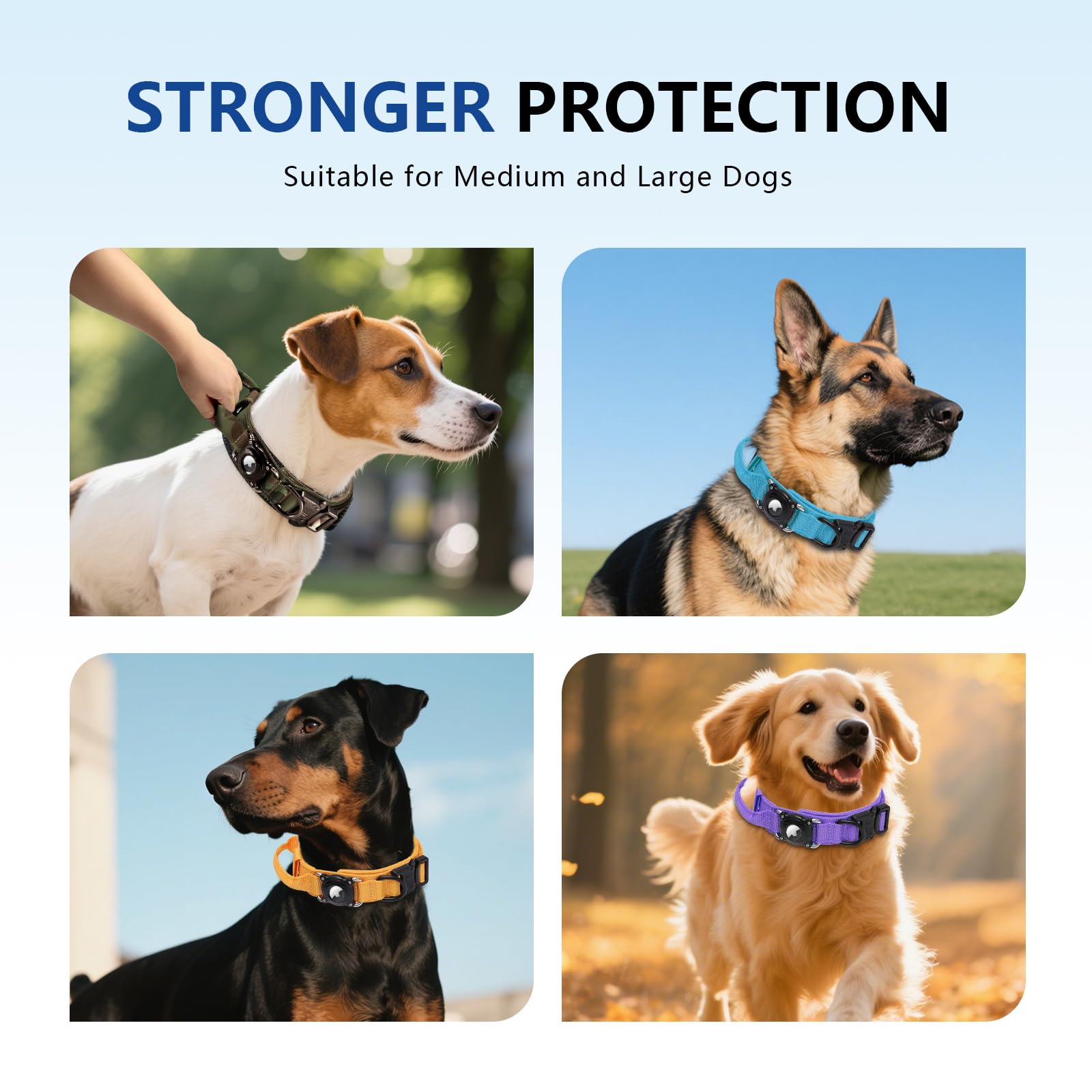 Taghelp collar perro duradero para uso diario y aventuras.