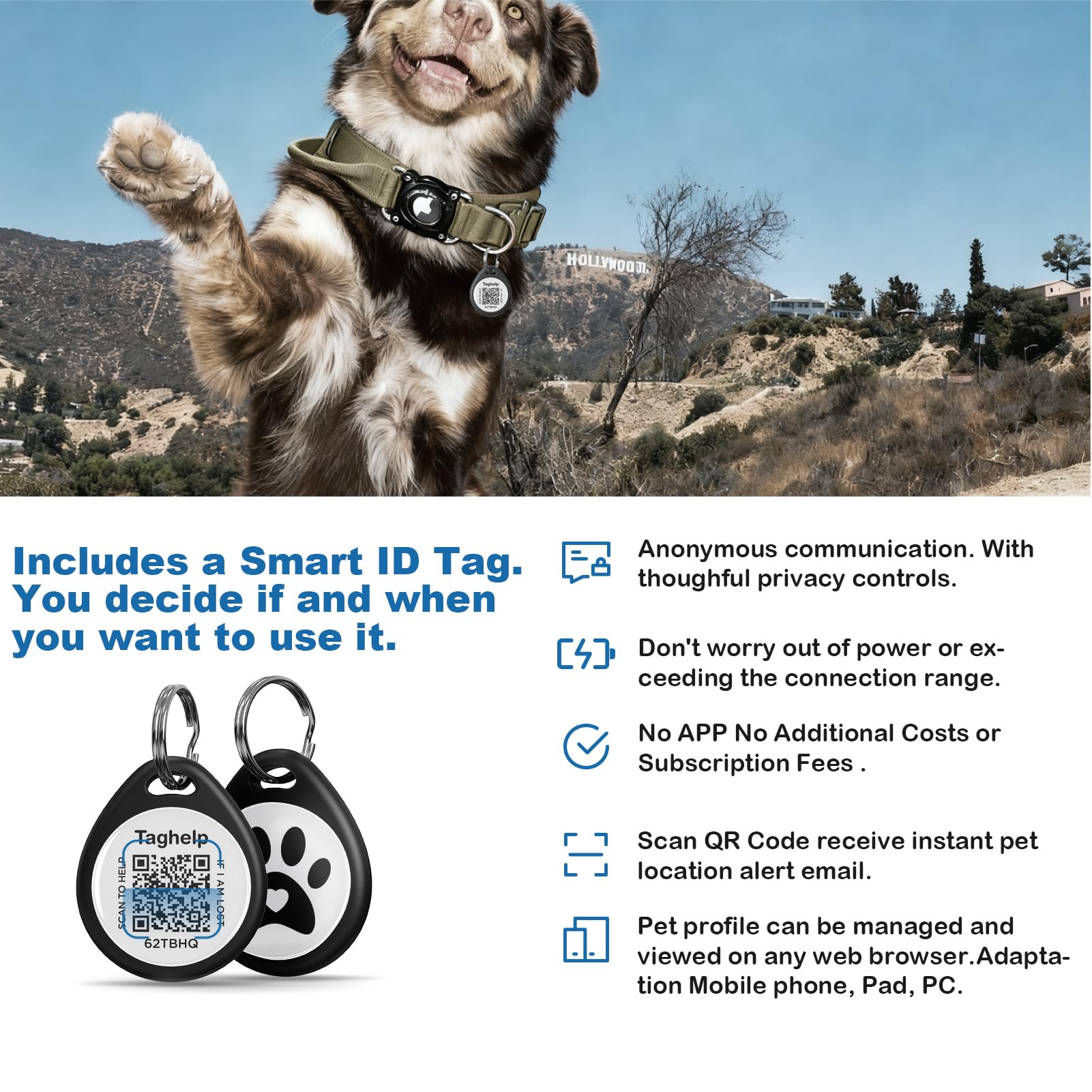 Taghelp identificador QR para encontrar rápidamente a tu perro.