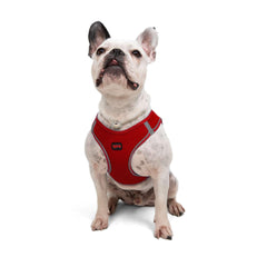 Tailpetz arnés rojo ajustable paso a entrar para perros grandes, cómodo y seguro.