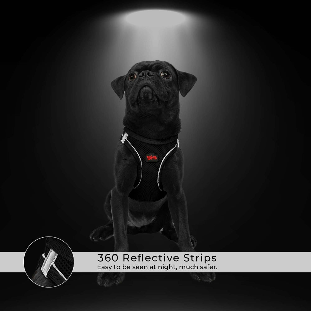 Tailpetz arnés rojo para visibilidad nocturna y seguridad en paseos.