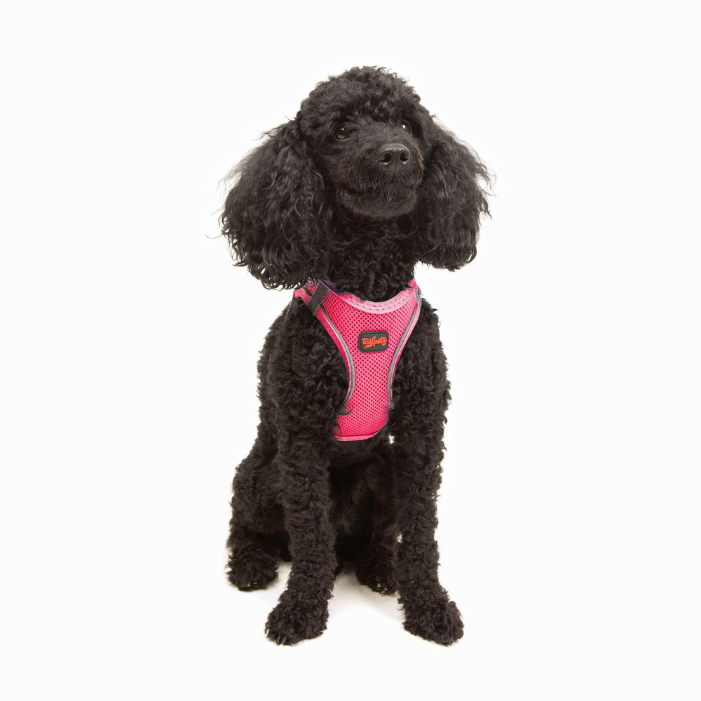Tailpetz arnés perro XS rosa neón, paso de entrada cómodo para perros pequeños.