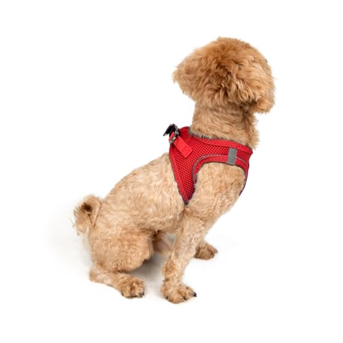 Tailpetz arnés XXS con malla ligera, cómodo y transpirable para paseos cortos o largos.