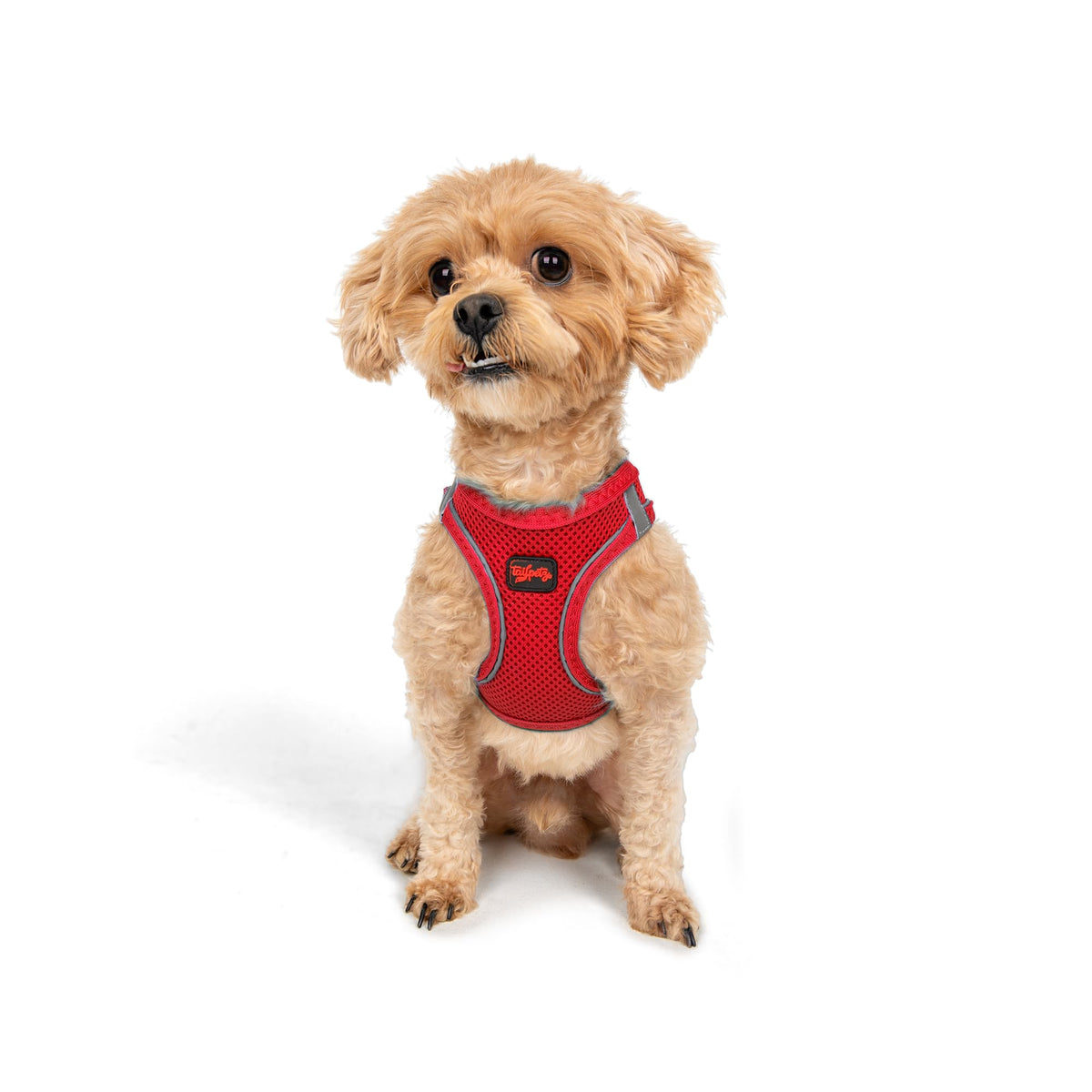 Tailpetz arnés para perro XXS, paso de entrada fácil para ponérselo rápidamente.
