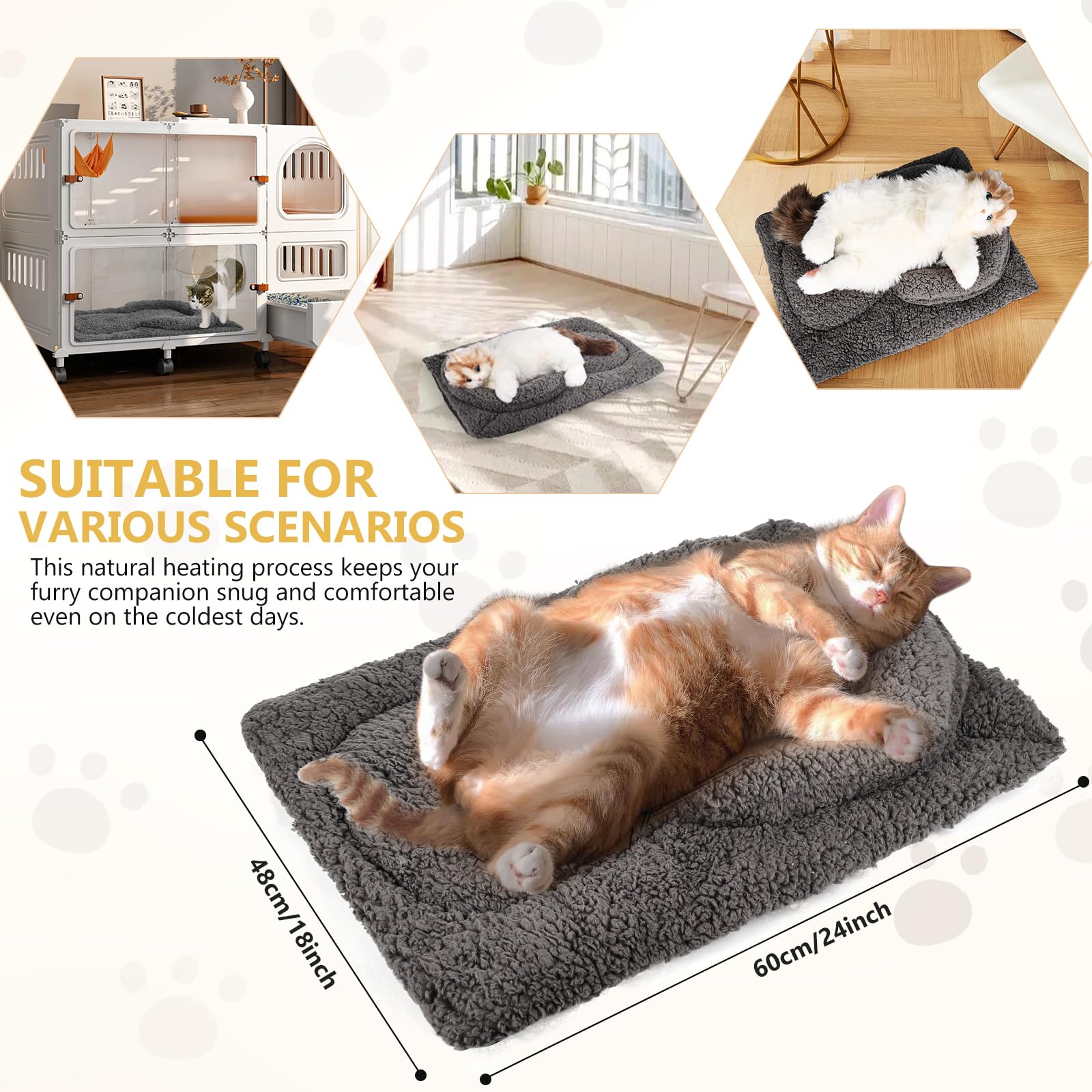 TailTastic base: antideslizante para evitar deslizamientos.