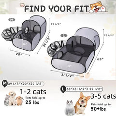 TailTastic zona descanso gatos tendido sol punto ideal para relajarse