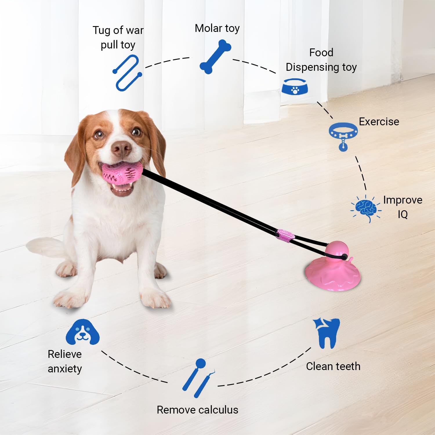 Tailwag bola interactiva tira afloja, fomenta actividad física y vínculo durante las sesiones.