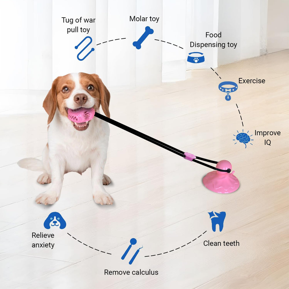 Tailwag bola interactiva tira afloja, fomenta actividad física y vínculo durante las sesiones.