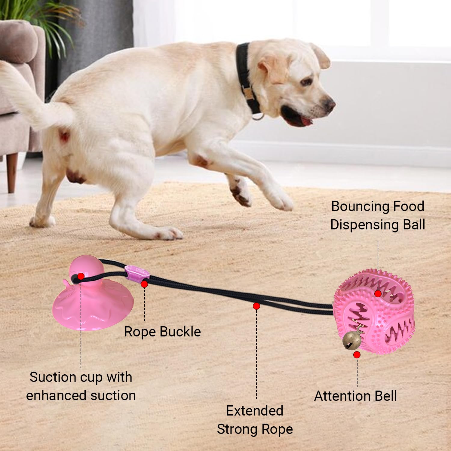 Tailwag interactivo juego bola fomenta concentración, ideal para sesiones de adiestramiento en casa.