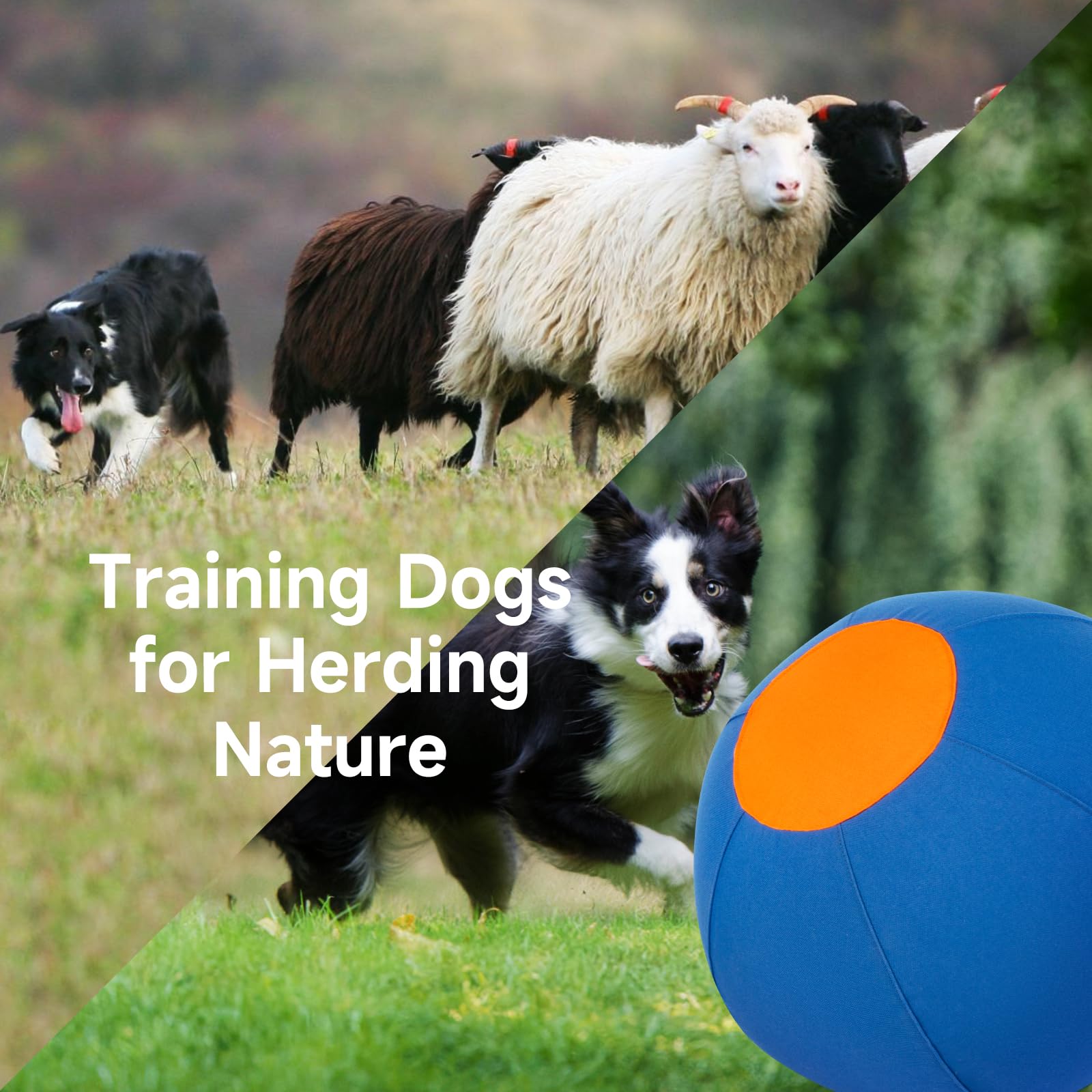 TailWaggers Jingle Herding Ball ideal para jugar en el jardín