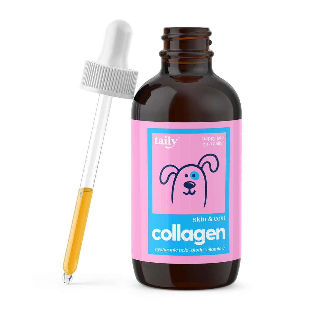 Taily Colágeno para perros, pelo brillante y saludable.