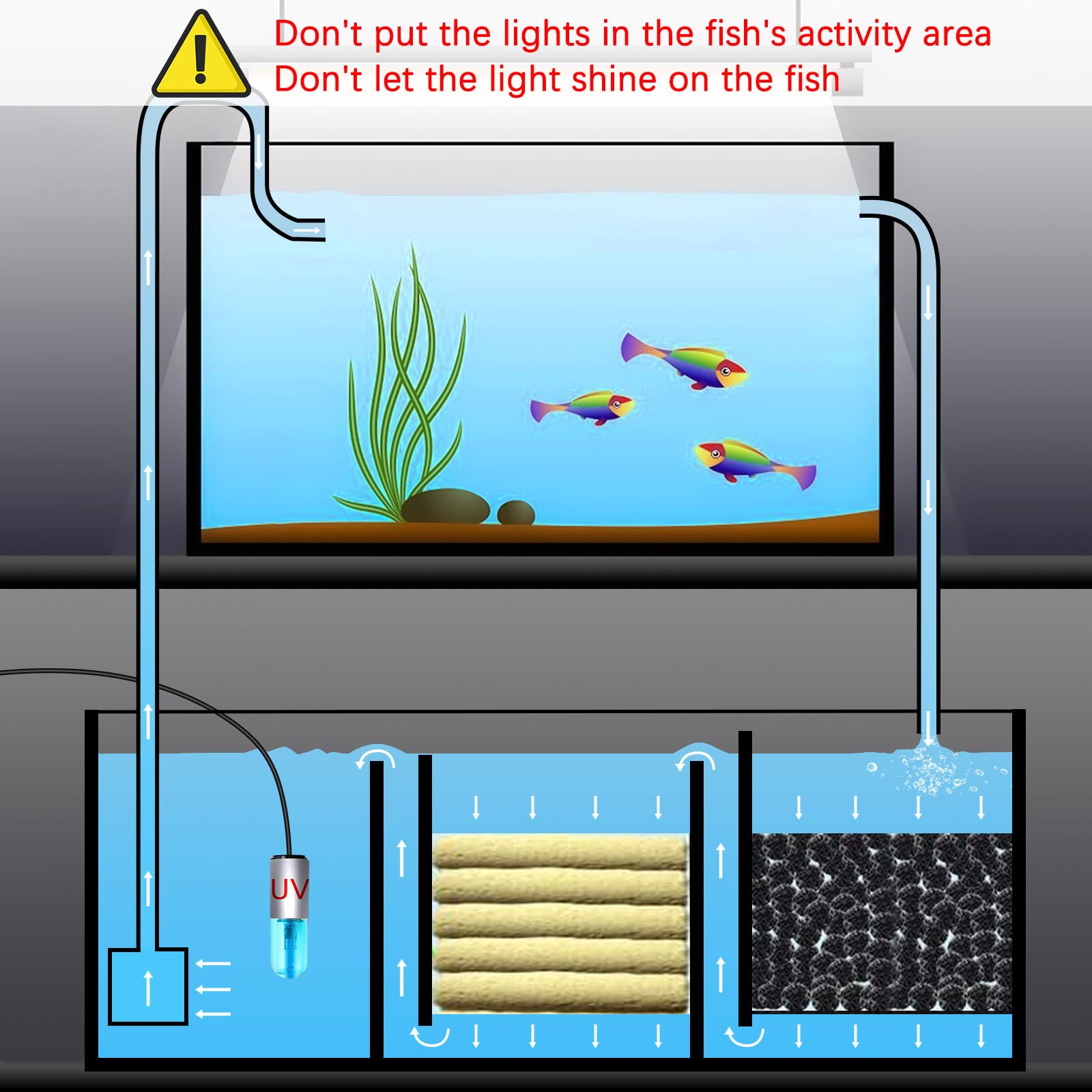 TAISHAN 3W mini acuario: seguridad y manejo seguro