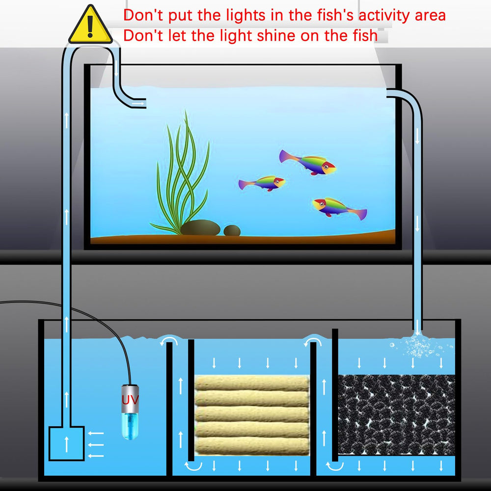 TAISHAN 3W mini acuario: seguridad y manejo seguro