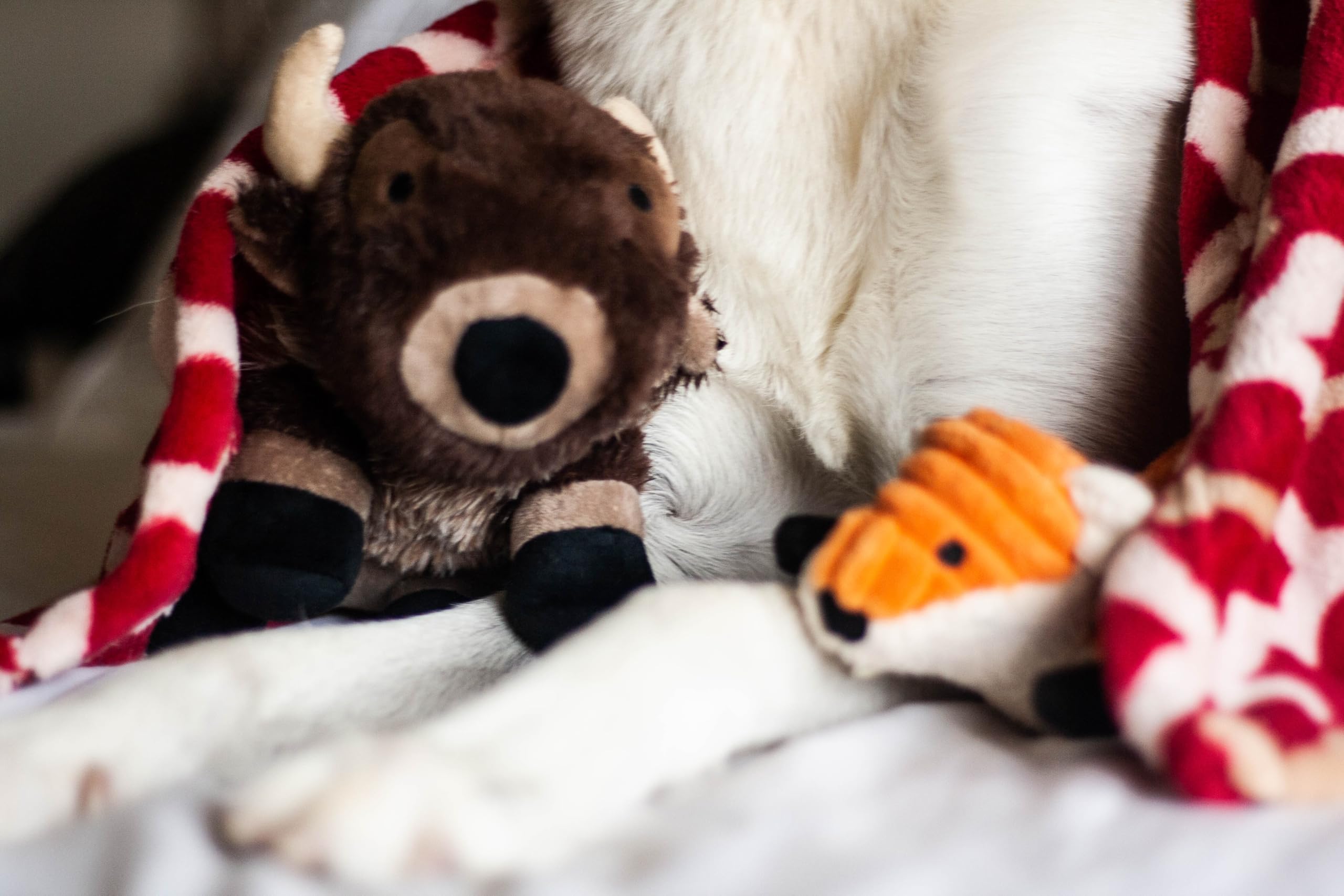 Tall Tails Buffalo con sonajero para perros, limpieza fácil con paño húmedo