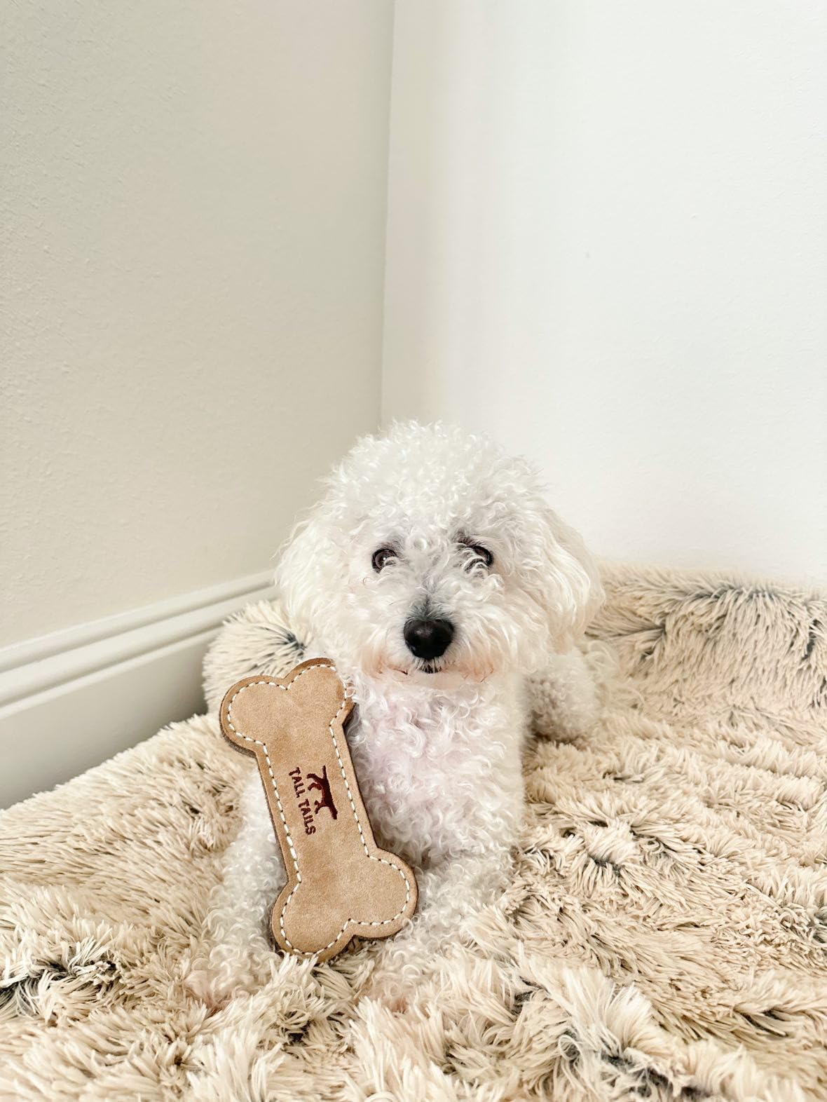 Tall Tails: diseñado para perros pequeños hasta 25 libras