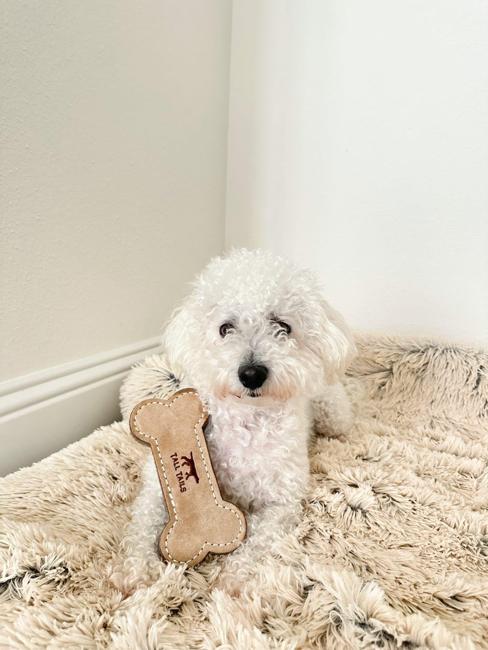 Tall Tails: diseñado para perros pequeños hasta 25 libras