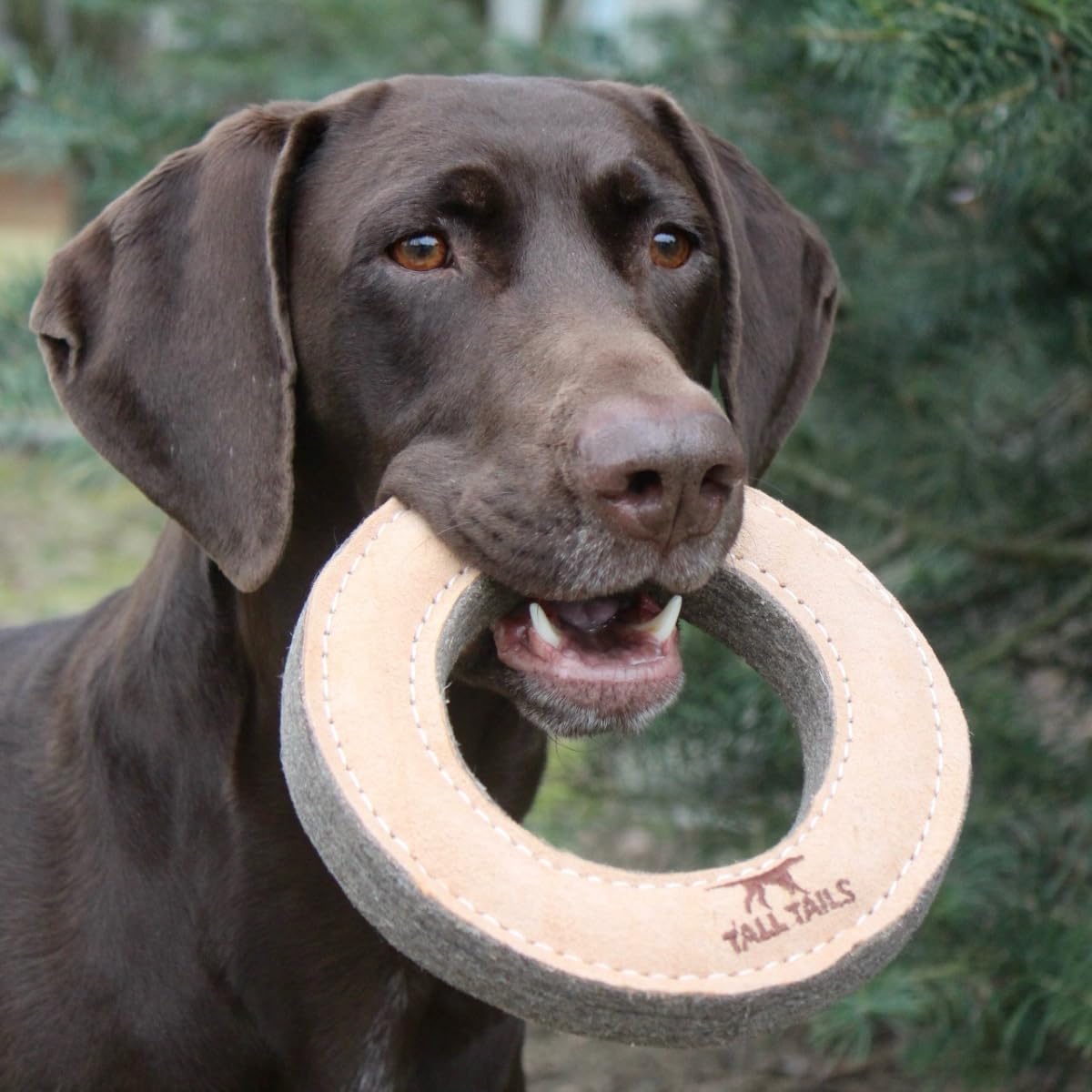 Tall Tails Ring: adecuado para uso en casa o al aire libre.