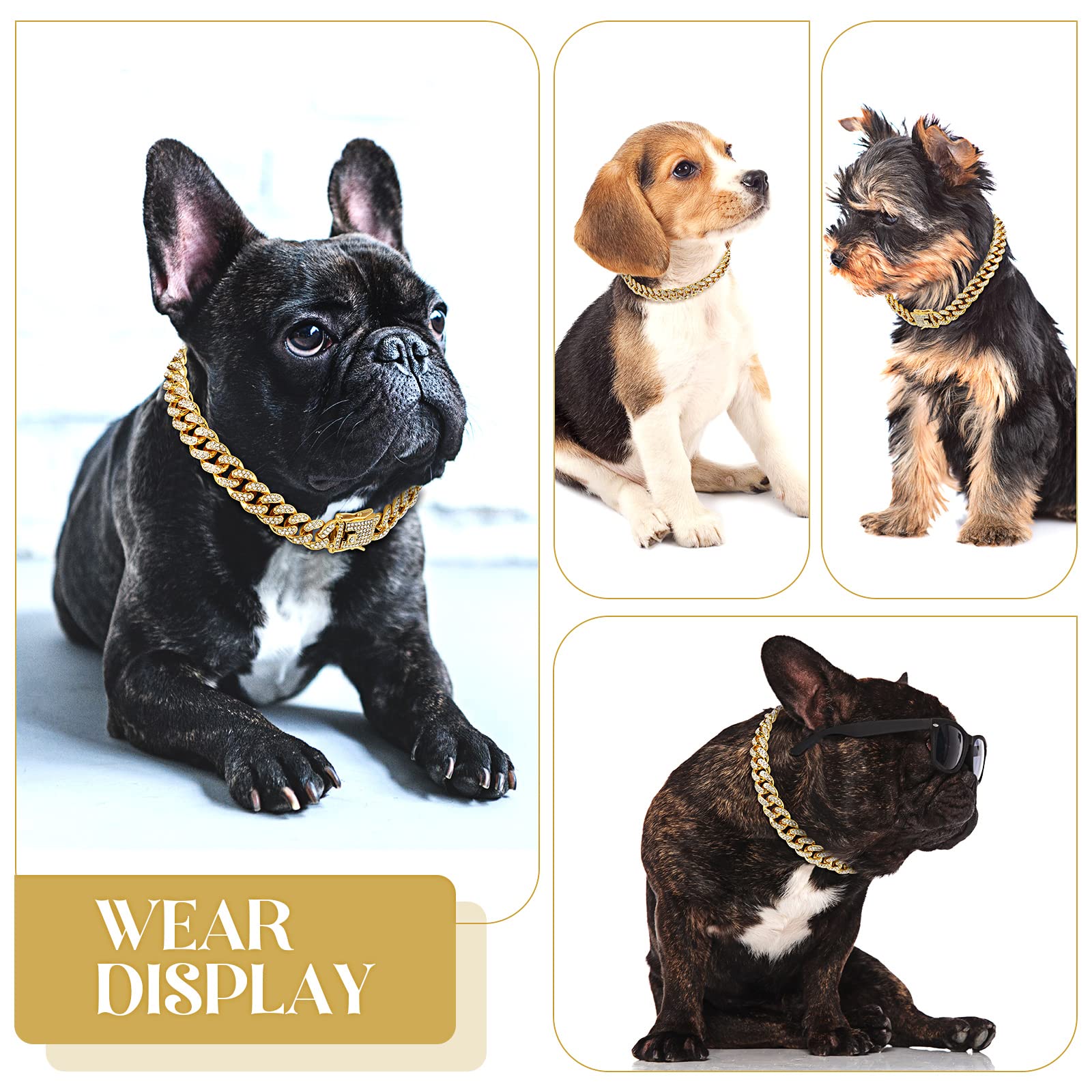 Tallew Accesorio dorado para perro, ideal para paseos con estilo